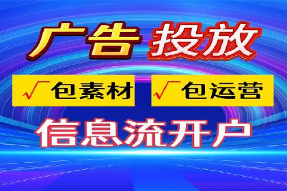 百度竞价推广运营实战技巧与经典案例剖析