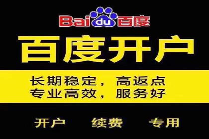 竞价推广中的移动端优化策略：基于移动用户的成功案例